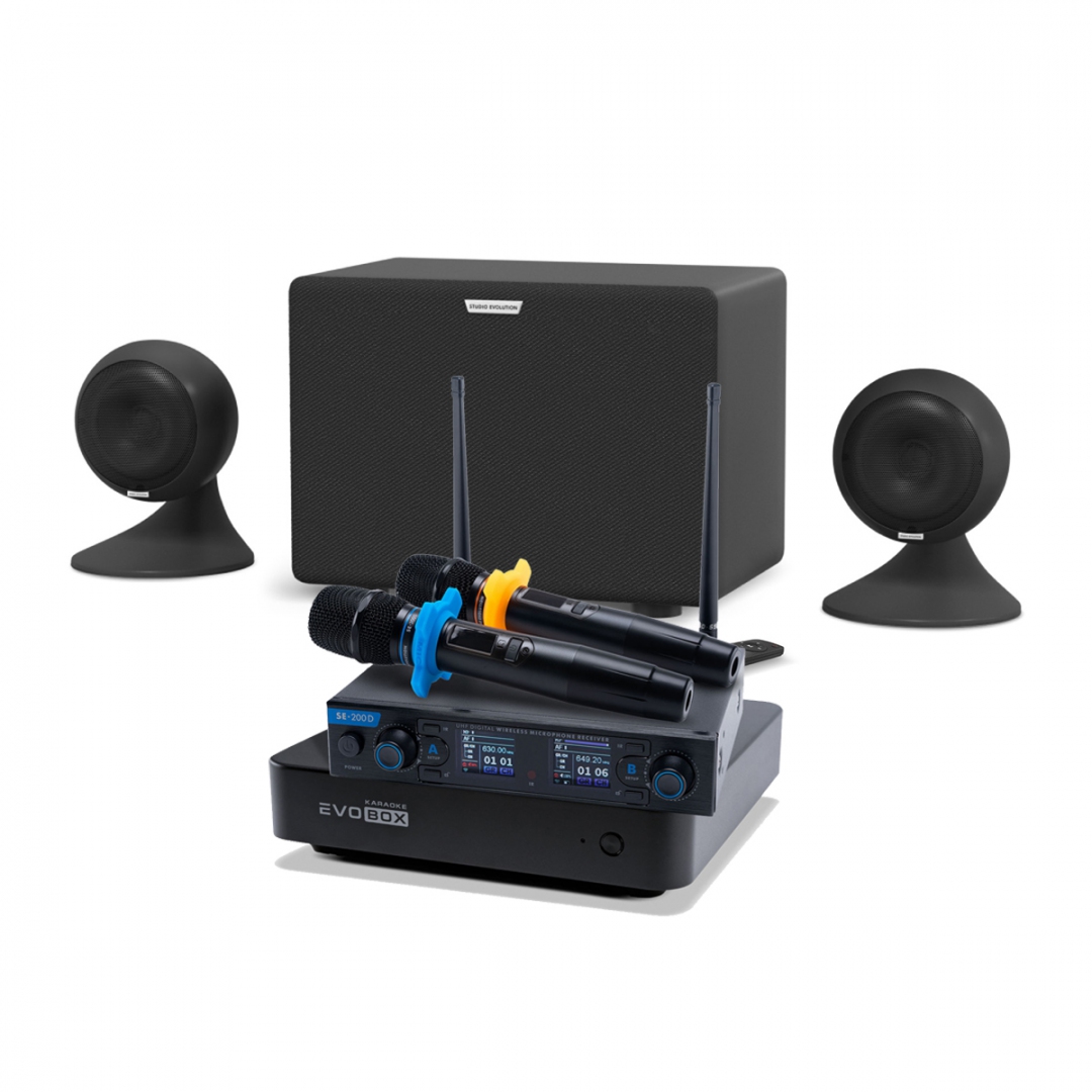 караоке-комплект EVOBOX + EvoSound Sphere 2.1 в Чапаевске