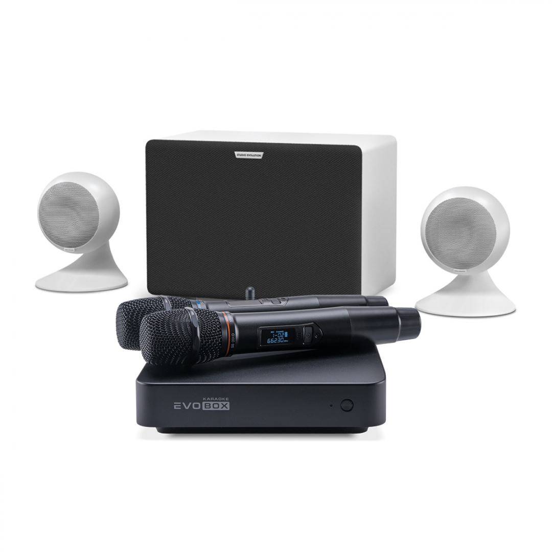 караоке-комплект EVOBOX Classic + EvoSound Sphere 2.1 в Чапаевске