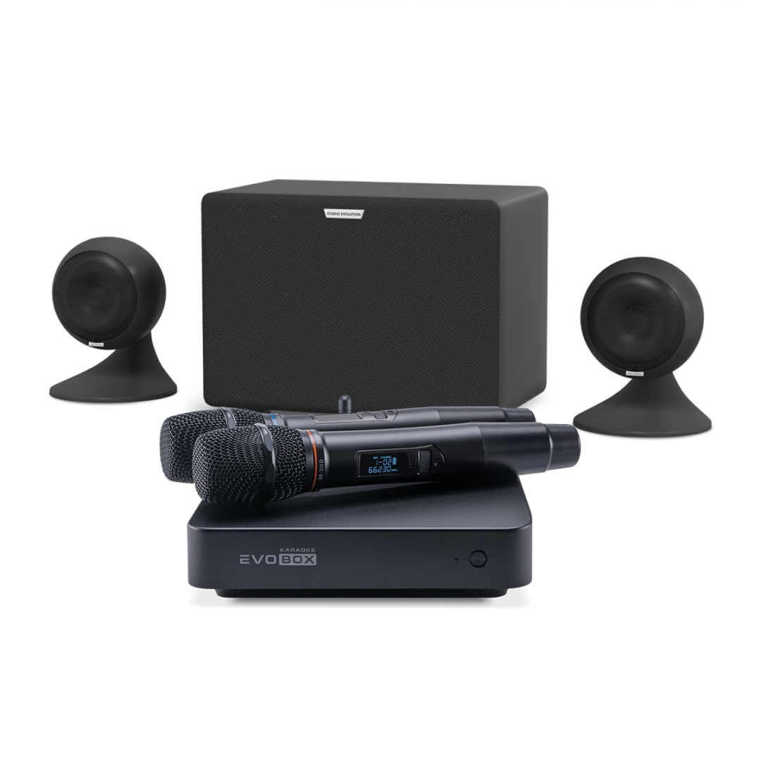 караоке-комплект EVOBOX Plus + EvoSound Sphere 2.1 в Чапаевске