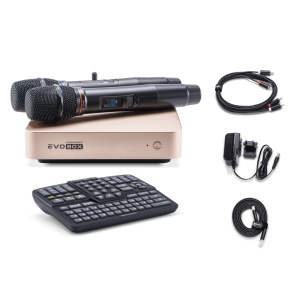 EVOBOX Classic караоке-система для дома в Чапаевске
