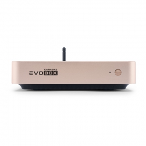 EVOBOX Plus караоке-система для дома в Чапаевске