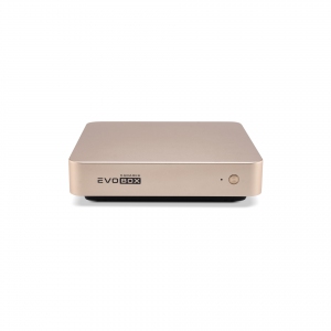 EVOBOX с микрофонами в Чапаевске
